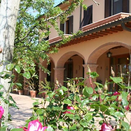 Agriturismo Diciocco 宛图里那 外观 照片