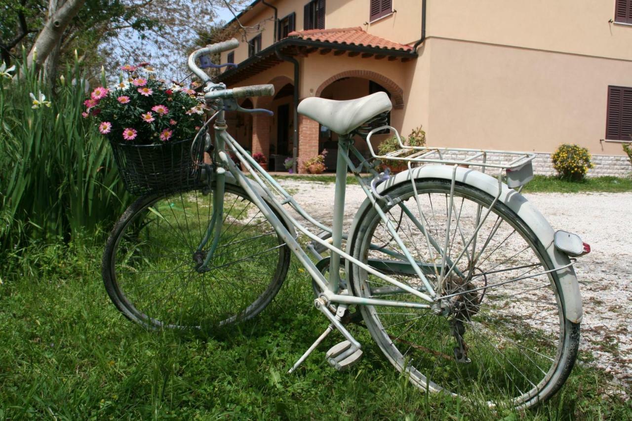 Agriturismo Diciocco 宛图里那 外观 照片