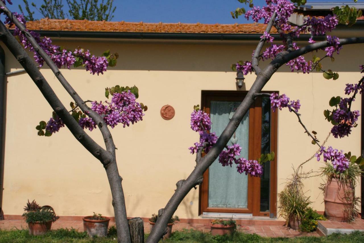 Agriturismo Diciocco 宛图里那 外观 照片