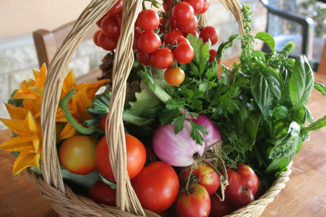 Agriturismo Diciocco 宛图里那 外观 照片