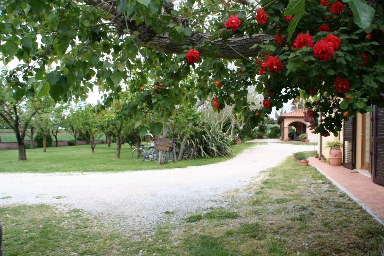 Agriturismo Diciocco 宛图里那 外观 照片